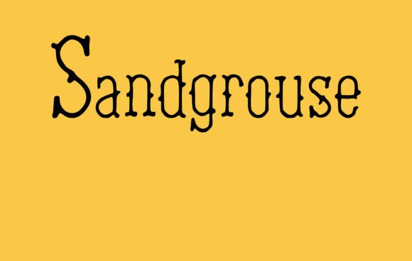 Why Sandgrouse Is the Perfect Serif Font for Editorial Design